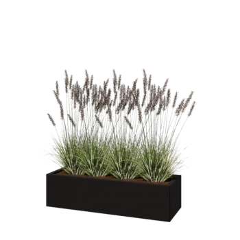 Jardinière en acier - Rectangle - 120 x 40 x 30 cm - RAL9005 mat (noir) - Sanc plaque de fond