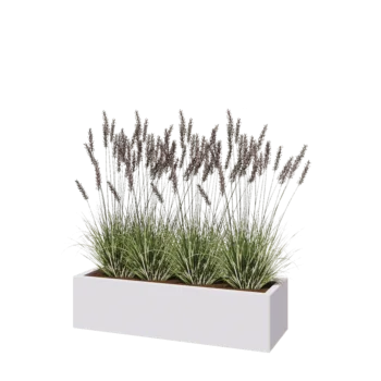 Jardinière en acier - Rectangle - 120 x 40 x 30 cm - RAL9010 mat (blanc) - Avec plaque de fond