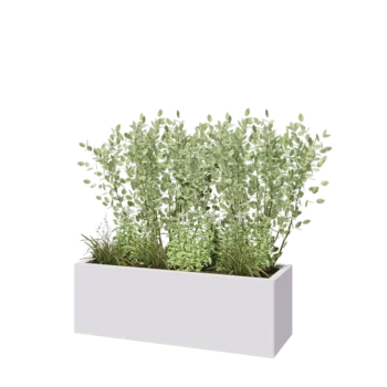 Jardinière en acier - Rectangle - 120 x 40 x 40 cm - RAL9010 mat (blanc) - Sanc plaque de fond