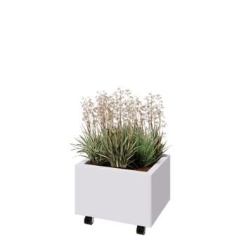 Jardinière en acier - Rectangle - 50 x 40 x 30 cm - RAL9010 mat (blanc) - Avec plaque de fond - Avec roulettes