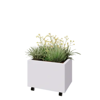 Jardinière en acier - Rectangle - 60 x 40 x 40 cm - RAL9010 mat (blanc) - Avec plaque de fond - Avec roulettes