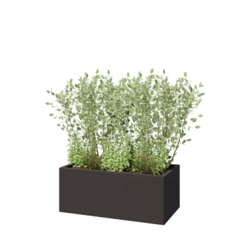 Jardinière en acier - Rectangle - 100 x 50 x 40 cm - RAL7016 mat (gris anthracite) - Sanc plaque de fond