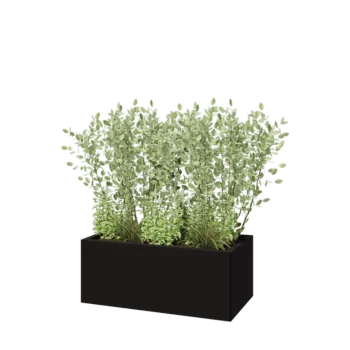 Jardinière en acier - Rectangle - 100 x 50 x 40 cm - RAL9005 mat (noir) - Sanc plaque de fond