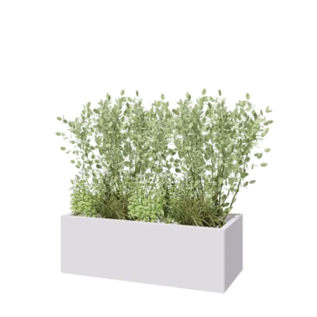 Jardinière en acier - Rectangle - 120 x 50 x 40 cm - RAL9010 mat (blanc) - Sanc plaque de fond