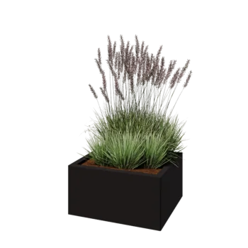 Jardinière en acier - Rectangle - 60 x 50 x 30 cm - RAL9005 mat (noir) - Avec plaque de fond