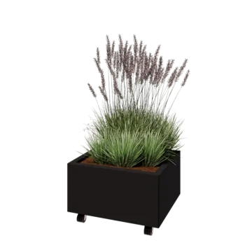 Jardinière en acier - Rectangle - 60 x 50 x 30 cm - RAL9005 mat (noir) - Avec plaque de fond - Avec roulettes