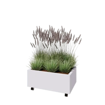 Jardinière en acier - Rectangle - 80 x 50 x 30 cm - RAL9010 mat (blanc) - Avec plaque de fond - Avec roulettes