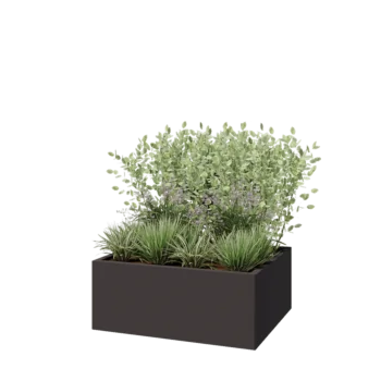 Jardinière en acier - Rectangle - 100 x 80 x 40 cm - RAL7016 mat (gris anthracite) - Sanc plaque de fond