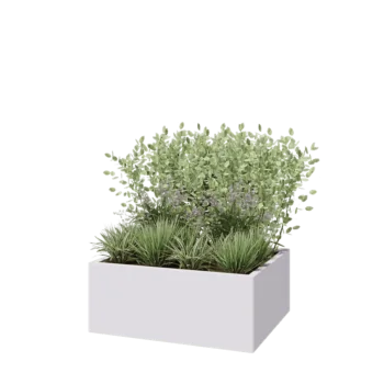 Jardinière en acier - Rectangle - 100 x 80 x 40 cm - RAL9010 mat (blanc) - Avec plaque de fond