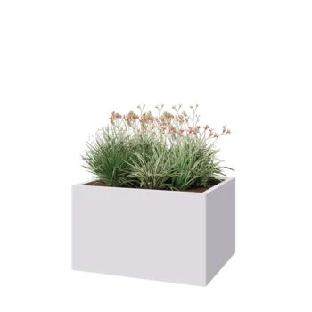 Jardinière en acier - Rectangle - 100 x 80 x 60 cm - RAL9010 mat (blanc) - Avec plaque de fond