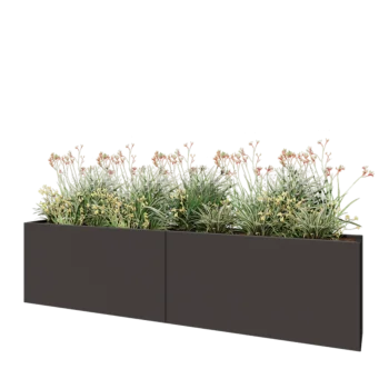 Jardinière XXL en acier - Rectangle - 240 x 30 x 60 cm - RAL7016 mat (gris anthracite) - Sanc plaque de fond