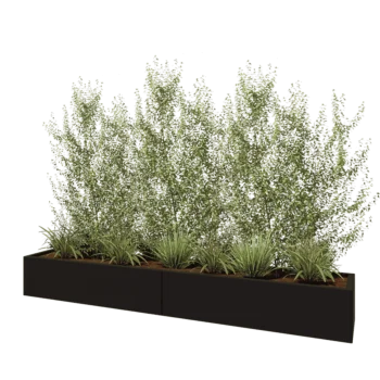 Jardinière XXL en acier - Rectangle - 240 x 40 x 30 cm - RAL9005 mat (noir) - Avec plaque de fond