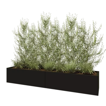 Jardinière XXL en acier - Rectangle - 240 x 50 x 40 cm - RAL9005 mat (noir) - Sanc plaque de fond