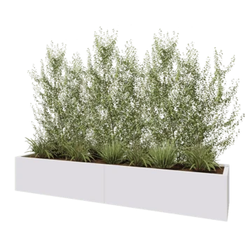 Jardinière XXL en acier - Rectangle - 240 x 50 x 40 cm - RAL9010 mat (blanc) - Avec plaque de fond