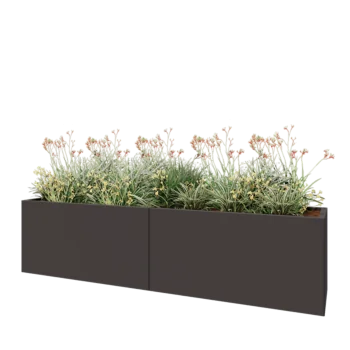 Jardinière XXL en acier - Rectangle - 240 x 50 x 60 cm - RAL7016 mat (gris anthracite) - Avec plaque de fond