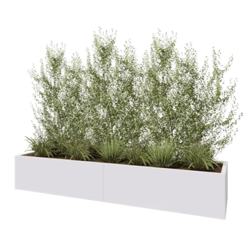 Jardinière XXL en acier - Rectangle - 240 x 60 x 40 cm - RAL9010 mat (blanc) - Avec plaque de fond