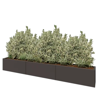 Jardinière XXL en acier - Rectangle - 300 x 30 x 40 cm - RAL7016 mat (gris anthracite) - Avec plaque de fond