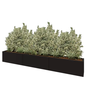 Jardinière XXL en acier - Rectangle - 300 x 30 x 40 cm - RAL9005 mat (noir) - Sanc plaque de fond