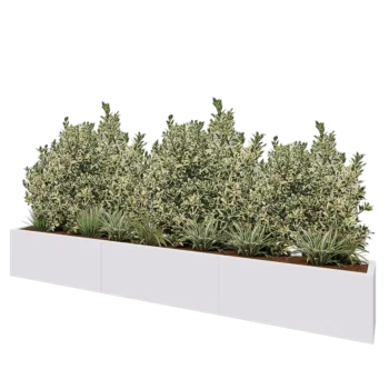 Jardinière XXL en acier - Rectangle - 300 x 30 x 40 cm - RAL9010 mat (blanc) - Avec plaque de fond