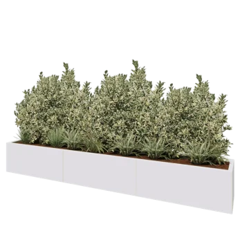 Jardinière XXL en acier - Rectangle - 300 x 40 x 40 cm - RAL9010 mat (blanc) - Avec plaque de fond