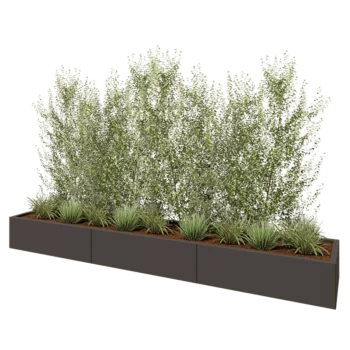 Jardinière XXL en acier - Rectangle - 300 x 50 x 30 cm - RAL7016 mat (gris anthracite) - Avec plaque de fond