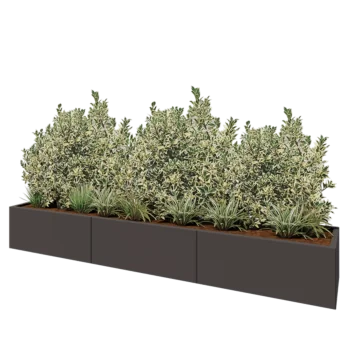Jardinière XXL en acier - Rectangle - 300 x 50 x 40 cm - RAL7016 mat (gris anthracite) - Avec plaque de fond