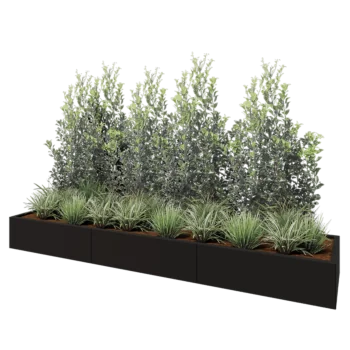 Jardinière XXL en acier - Rectangle - 300 x 60 x 30 cm - RAL9005 mat (noir) - Sanc plaque de fond