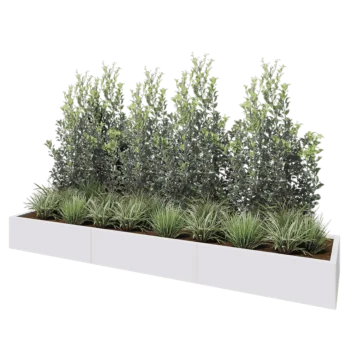 Jardinière XXL en acier - Rectangle - 300 x 60 x 30 cm - RAL9010 mat (blanc) - Avec plaque de fond