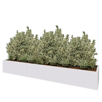 Jardinière XXL en acier - Rectangle - 300 x 60 x 40 cm - RAL9010 mat (blanc) - Sanc plaque de fond