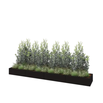 Jardinière XXL en acier - Rectangle - 400 x 60 x 30 cm - RAL9005 mat (noir) - Avec plaque de fond