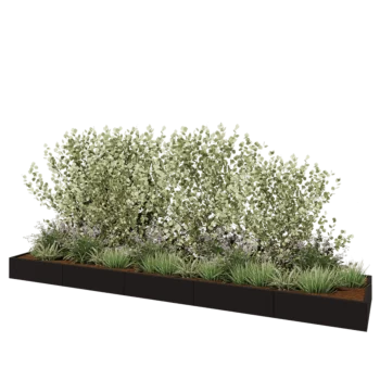 Jardinière XXL en acier - Rectangle - 500 x 100 x 30 cm - RAL9005 mat (noir) - Sanc plaque de fond