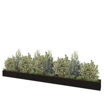 Jardinière XXL en acier - Rectangle - 500 x 40 x 30 cm - RAL9005 mat (noir) - Avec plaque de fond