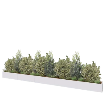 Jardinière XXL en acier - Rectangle - 500 x 40 x 30 cm - RAL9010 mat (blanc) - Sanc plaque de fond