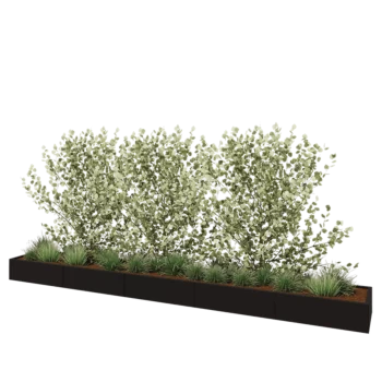 Jardinière XXL en acier - Rectangle - 500 x 60 x 30 cm - RAL9005 mat (noir) - Avec plaque de fond