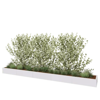 Jardinière XXL en acier - Rectangle - 500 x 60 x 30 cm - RAL9010 mat (blanc) - Sanc plaque de fond