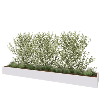 Jardinière XXL en acier - Rectangle - 500 x 80 x 40 cm - RAL9010 mat (blanc) - Avec plaque de fond