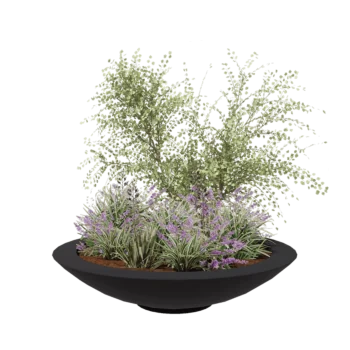 Jardinière en polyester - Coupe - Ø 153 x 34 cm - RAL7021 mat (gris noir) - Avec fond