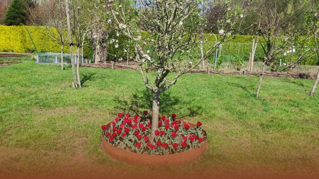Comment créer une bordure autour d'un arbre ?